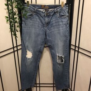(Kut from the Kloth) Cropped Denim